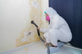 Best Residential Mold Inspection & Testing in Woodcreek, TX